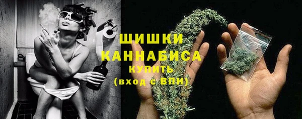 ECSTASY Инта