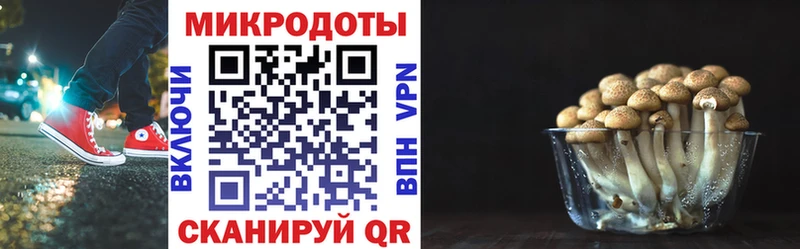 Купить где  Менделеевск  Псилоцибиновые грибы мухоморы 